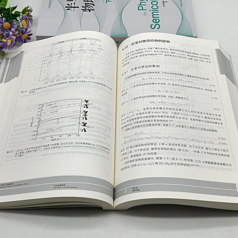 【2022新书正版包邮】半导体物理学上册+下册 全2册 半导体芯片国际前沿 德 马吕斯·格伦德曼著姬扬译中科大出版社半导体应用器件 - 图2