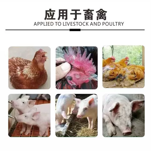 Ветеринарные свиньи, жидкость Хуоксин Чжэнки, цыплята, пероральная жидкость Хуоксин Чжэнки, цыплята, утки, гуси, свиньи, крупный рогатый скот и примеси с кормами овец