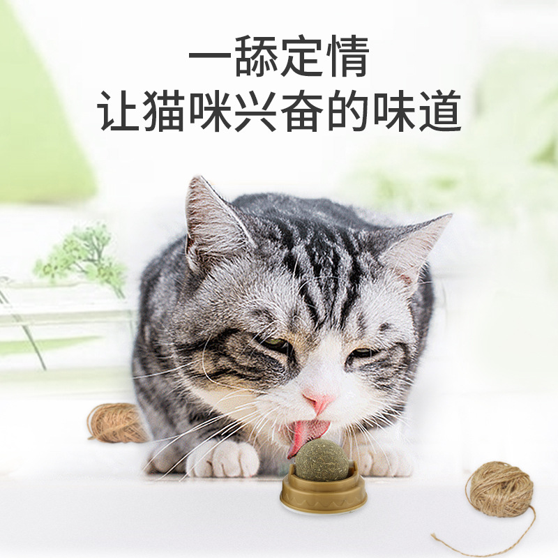 猫咪可转动猫薄荷球网红猫草木天蓼猫咪玩具猫咪磨牙棒猫玩具零食 - 图0