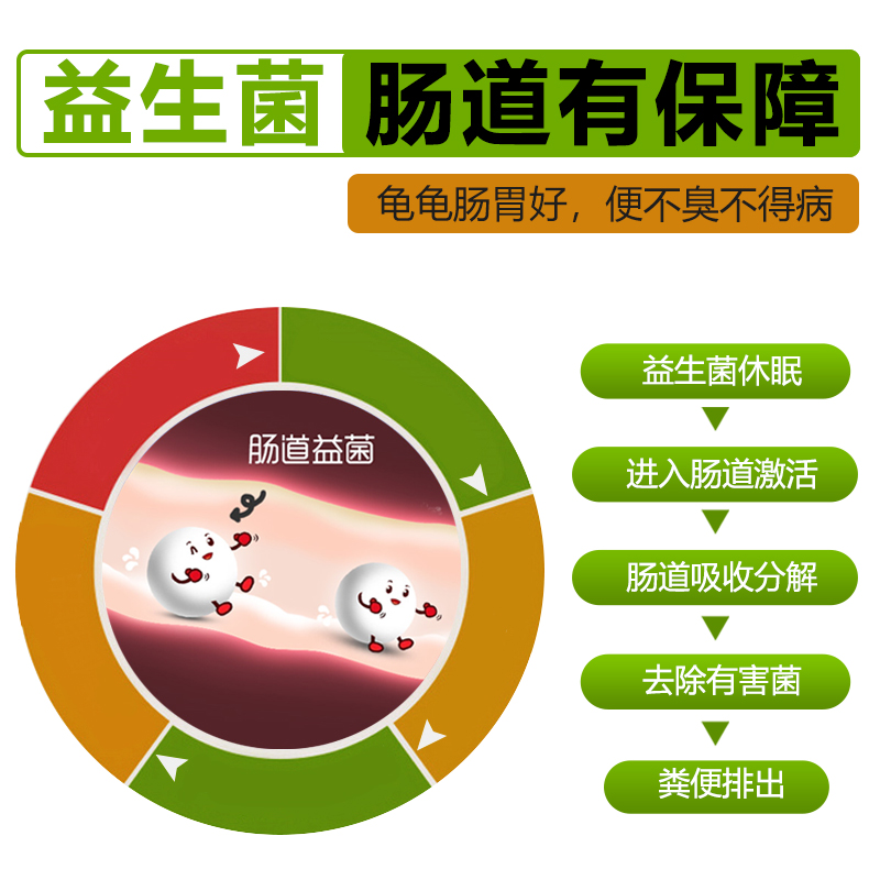 海豚卡麦龟粮饲料高钙发色龟料石金钱火焰黄缘增色专用龟食乌龟粮 - 图1