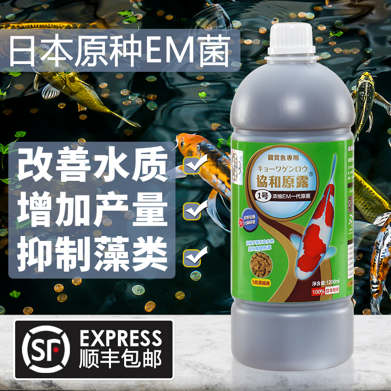 日本em菌水产养殖专用原液益生菌硝化细菌乳酸菌锦鲤鱼池消毒药水 - 图0