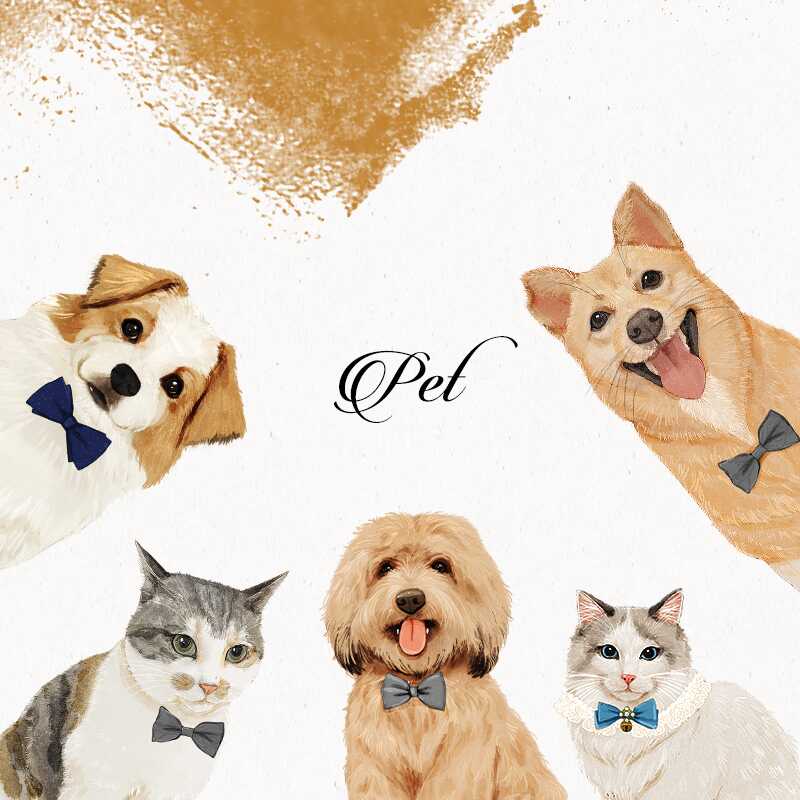 定制狗肖像画 新人首单立减十元 21年10月 淘宝海外