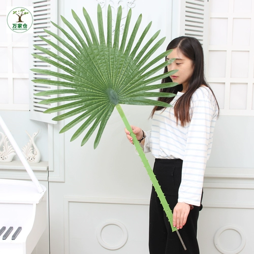 Моделирование растений Санцзянфлауэр лист лист лист лист лист пальмовые листья гостиная