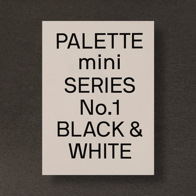 预售 调色板迷你系列01：黑与白 Palette Mini Series 01: Black & White 黑白色彩搭配 平面设计 色彩搭配书籍 - 图3