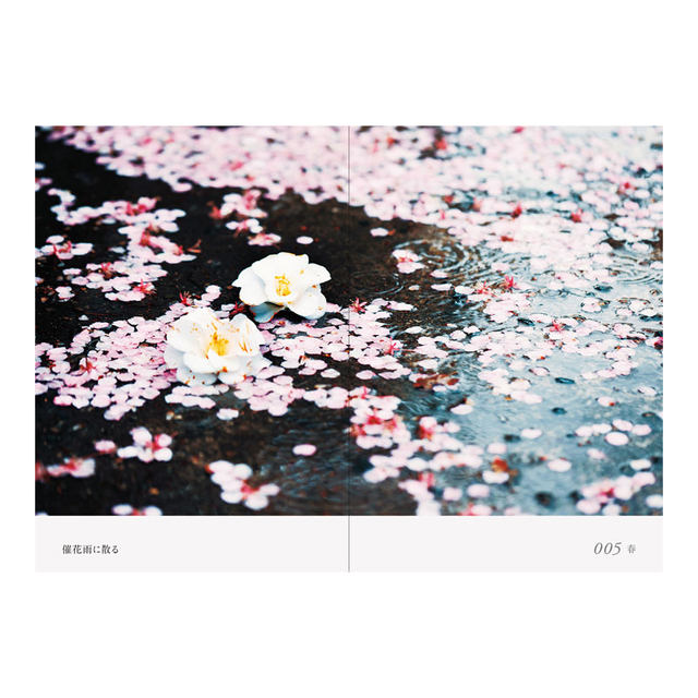 A collection of 100 erotic photos of the four seasons