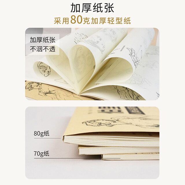 Berryman human body 4-book set, structural teaching copy book, painting character sketch copy book, art picture book teaching material, zero-based exercises for trunk and limb dynamics