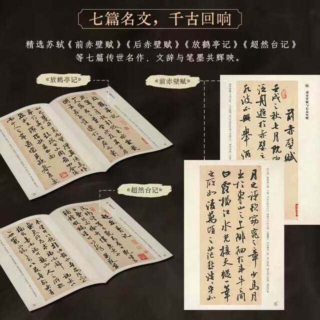 Tian Xiaohua's Seven Chapters of Su Shi's Running Script