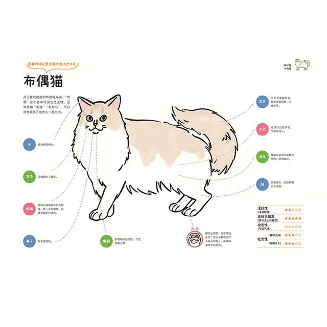 Living with Cats The Genetic Code of Cat Coat Color and Personality