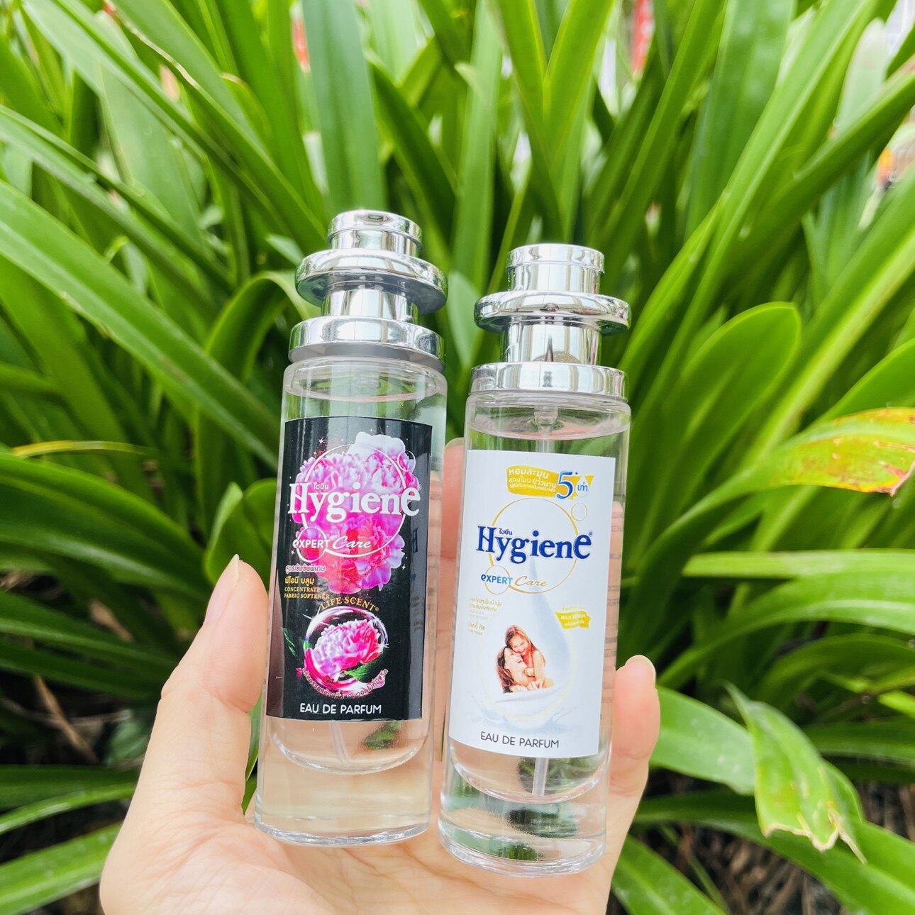 真的好香！！泰国进口Hygiena香水芍药花香宝宝奶香衣物香氛香水