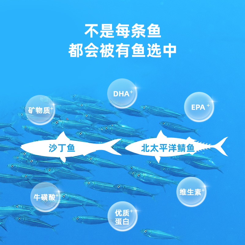 有鱼猫零食小鱼干整只鲜鱼无添加剂成猫幼猫营养增肥发腮美毛50g - 图1