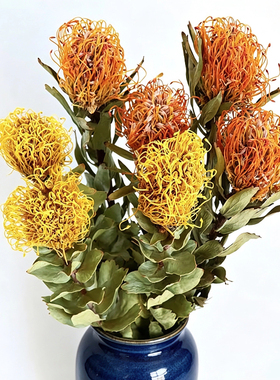 针垫干花自然植物真花复古针垫花简约家居装饰品花艺插花摆件