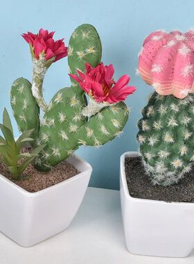 1pc Mini Simulated Cactus Without Pot Fake Potted Plant Real