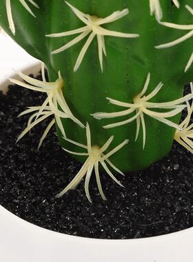 High Quality Artificial Cactus Bonsai Decorative Potted Cact