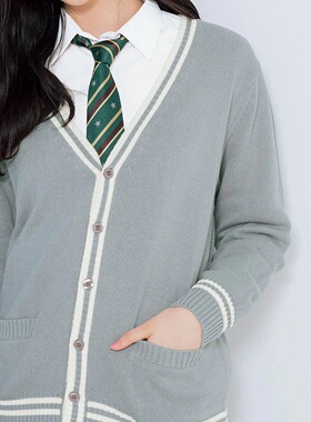 高校制服学院风女生领带领结
