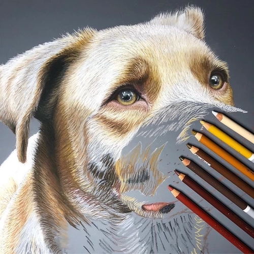 Немецкий лебедный пастельный карандаши раскрашенные порошковые карандаш карботелло пастельные карандаш раскрашены в древесный карандаш сухой порошок карандаш 12 24 36 48 60 Цветовые набор стабил Скай-Лей