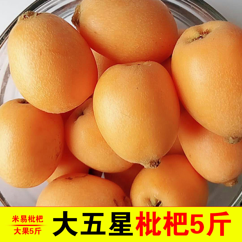 四川攀枝花米易枇杷果新鲜水果现摘3斤大果5斤大果