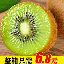 Shaanxi Green Heart Kiwifruit Fresh Fruit Chieca Fruits When Should Season Fruit Multispec Non-Yellow Heart Red Hearts