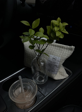 创意花瓶摆件车内插花装饰品