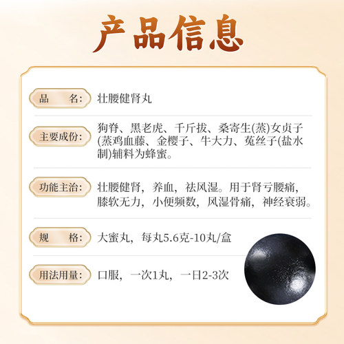 陈李济壮腰健肾丸/专用官方广州旗舰店正品腰疼舒筋白云山陈李济 - 图1