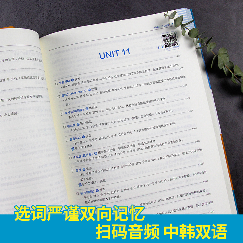 韩语topik单词 新韩国语能力考试单词 金龙一topik必备单词初级中高级词汇topik韩语单词书韩语自学入门考试用书韩语语法网课正版 - 图2