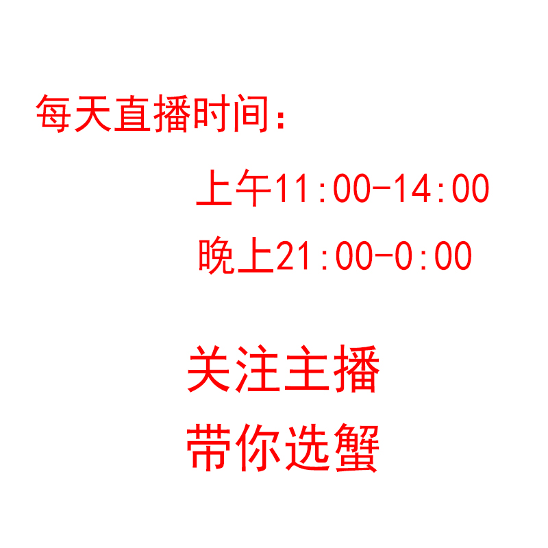 陆生短腕灰白寄居蟹小豆丁宠物迷你寄居可爱小萌宠观赏蟹活体包活