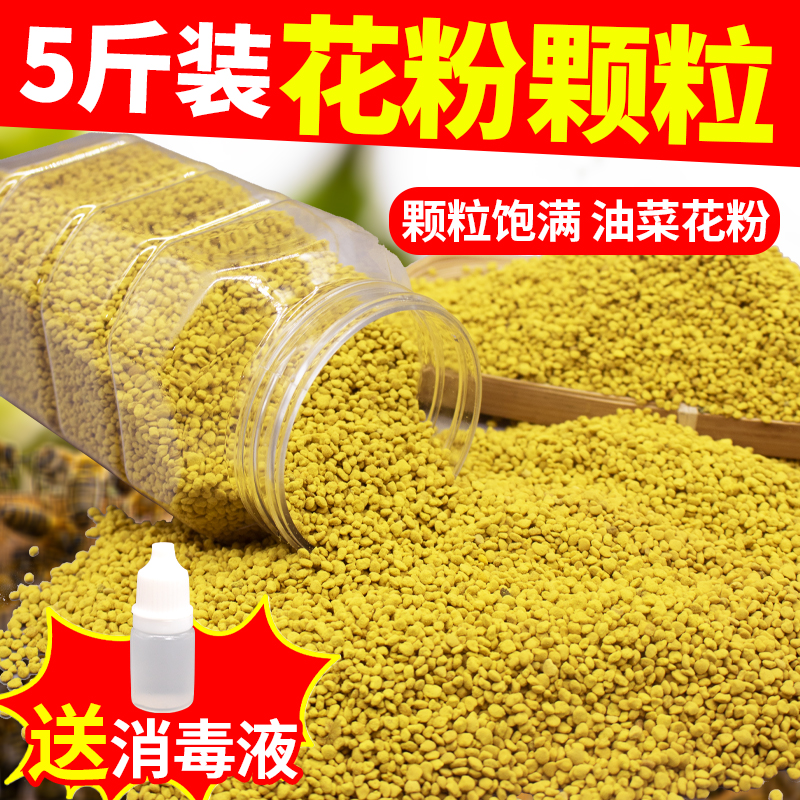 养蜂茶花杂粉喂蜂蜜蜂饲料茶叶花粉天然蜂用花粉养蜂专用蜂粮包邮