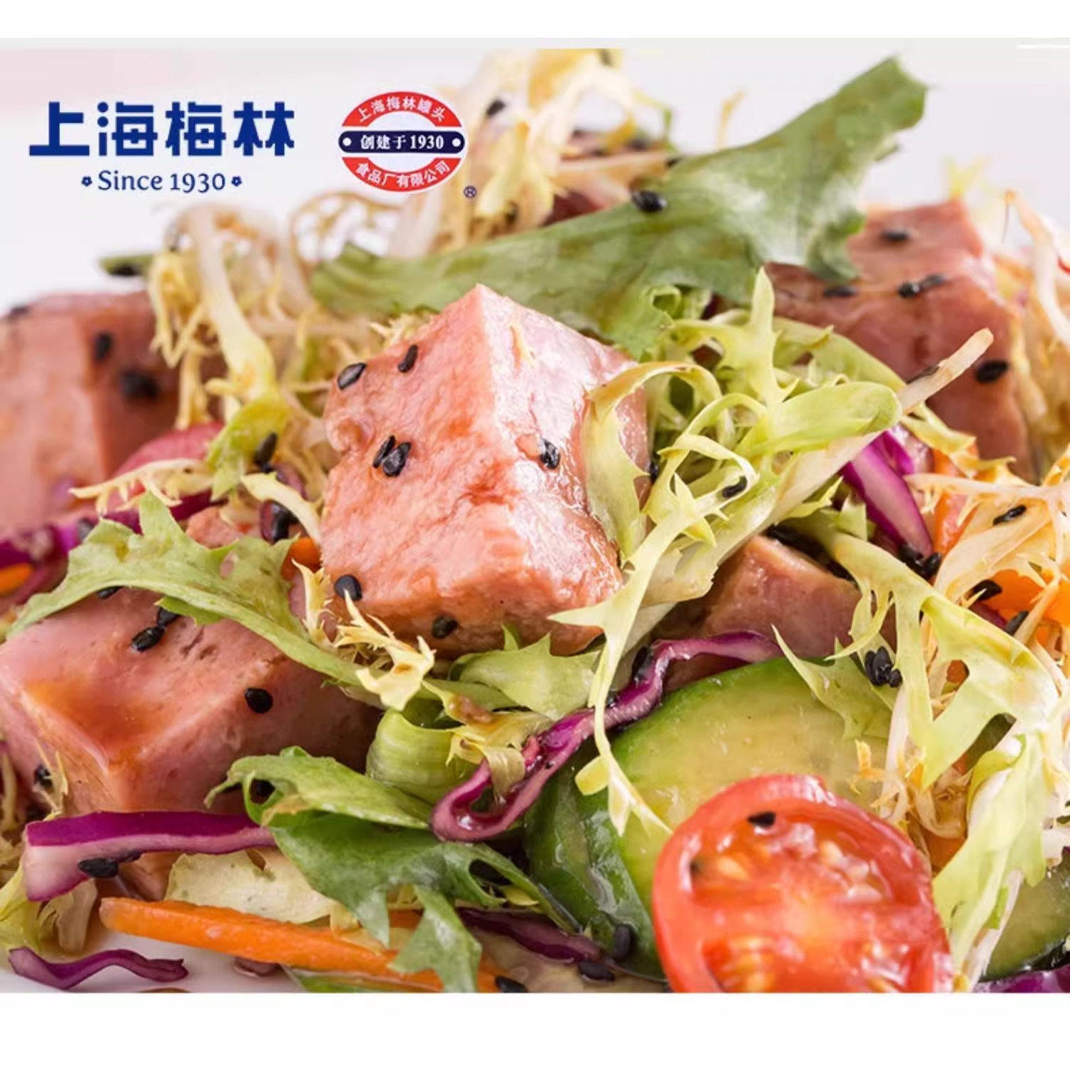 上海梅林火腿罐头囤货储备午餐肉方便速食品火锅食材即食肉类罐头,淘宝优惠券,粉丝福利购,淘宝优惠卷