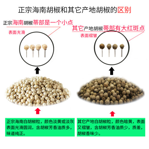 海南特产白胡椒粒500g白胡椒子调料香料正品官方旗舰店可打胡椒粉 - 图0