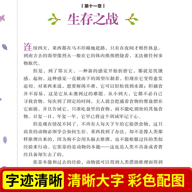 7册国际大奖儿童文学灵犬莱西铁路边的孩子们银顶针的夏天银河铁道之夜课外书万花筒彩虹鸽吹号手的诺言美绘典藏版少儿读物-图1