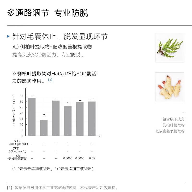 男女防脱发洗发水侧柏叶洗头膏露辉影植物防脱去屑去油哈恩旗舰店 - 图1