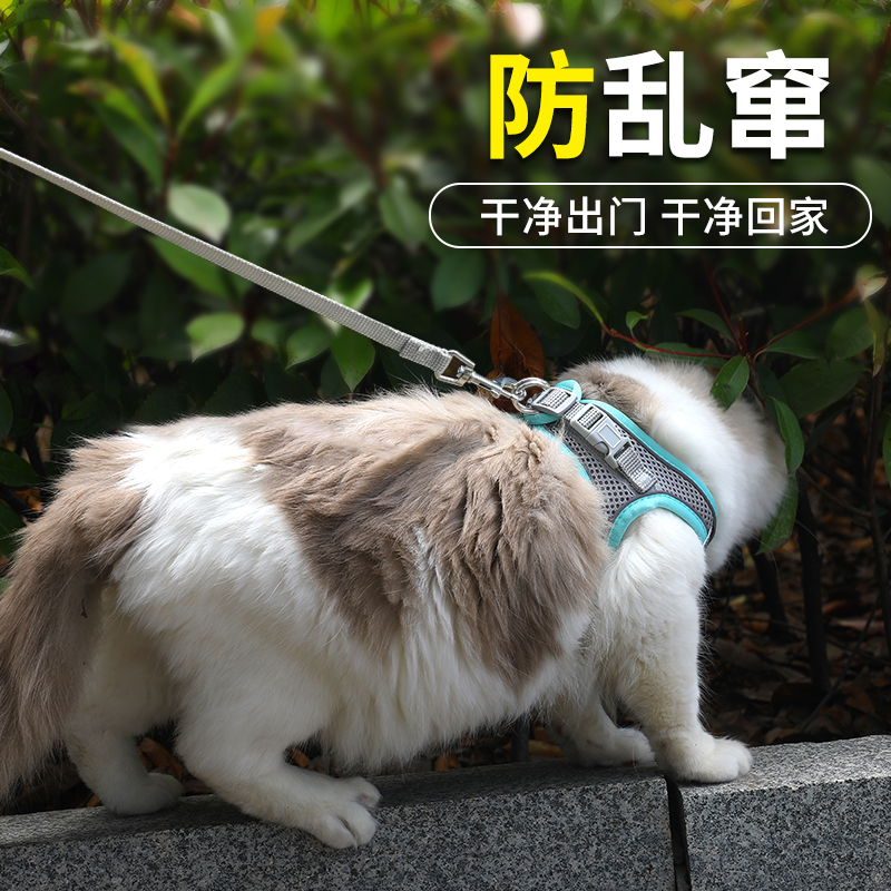 猫咪牵引绳防挣脱外出专用遛猫绳幼猫溜猫神器小奶猫防跑绳背心式-图1