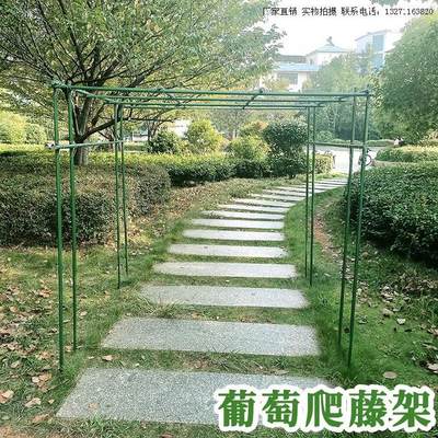 花支架爬藤架牵引绿萝花支柱支架杆竹子户外菜园花木植物花撑 虎窝淘