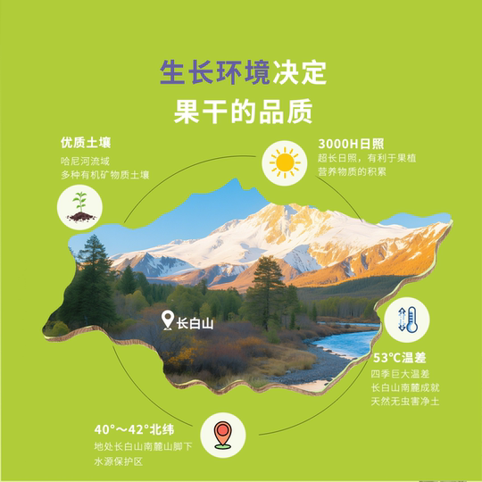 怡颗果悠果乐园长白山东北蓝莓干不加糖无添加剂256g果干小包装