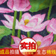 Pastoral Living Room Cross Stitch Lotus ຮູບໃຫມ່ຫ້ອງດໍາລົງຊີວິດ