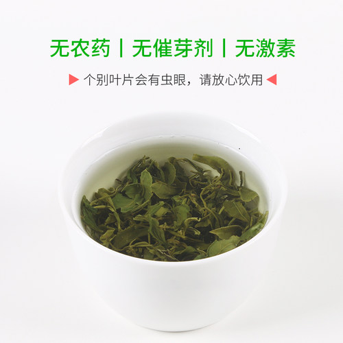 北匠经典1966日照绿茶2026新茶叶 山东特产浓香型散装春绿茶500g - 图2