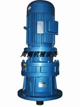 Cycloidal needle wheel reducer BLED131 2215 -99-121-187-289-385-473-595-1 5KW