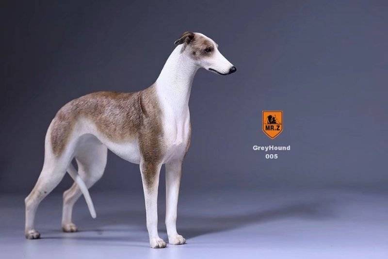 【MR.Z】官方正品灵缇格力犬兵人配件手办高档仿真狗摆件装饰品-图2