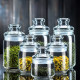 Glass household transparent storage jar with lid