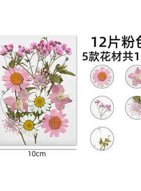 天然干花书签材料包永生花
