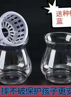 特价高透明塑料家用观音竹绿萝富贵竹莲花竹水培白掌大蒜洋葱器皿
