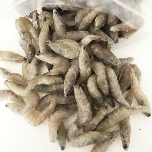 喂鱼冻虾龙鱼饲料专用鱼食河虾鱼食金龙鱼鱼食淡水虾冰冻冷冻 - 图0