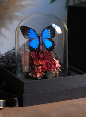 玻璃罩永生花摆件复古蝴蝶标本