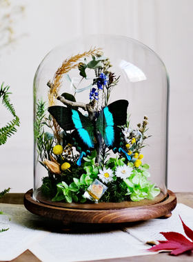 玻璃罩复古北欧书房客厅蝴蝶标本