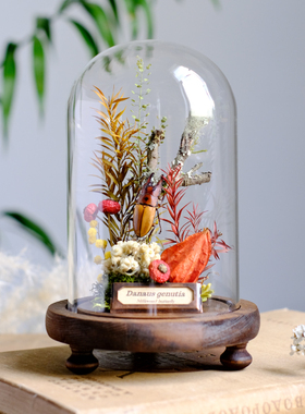 动物昆虫标本玻璃罩生态