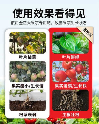 德国compo硼钼叶面肥微量元素水溶肥水果蔬菜专用促花坐果冲施肥 - 图1