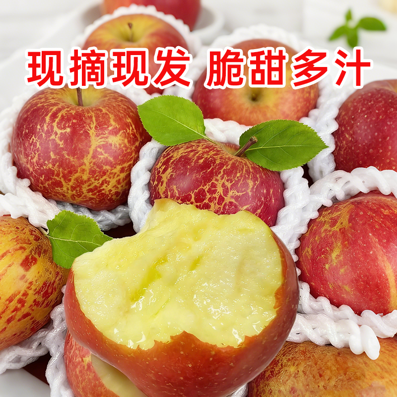 云南昭通糖心丑苹果脆甜多汁新鲜水果苹果孕妇宝宝当天采摘包邮,淘宝优惠券,粉丝福利购,淘宝优惠卷
