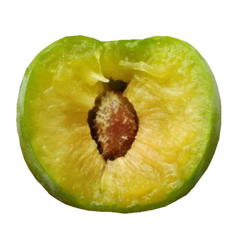 万州分水李子重庆巫山脆李新鲜水果5斤四川蜂糖空心青脆李脱骨李,淘宝优惠券,粉丝福利购,淘宝优惠卷