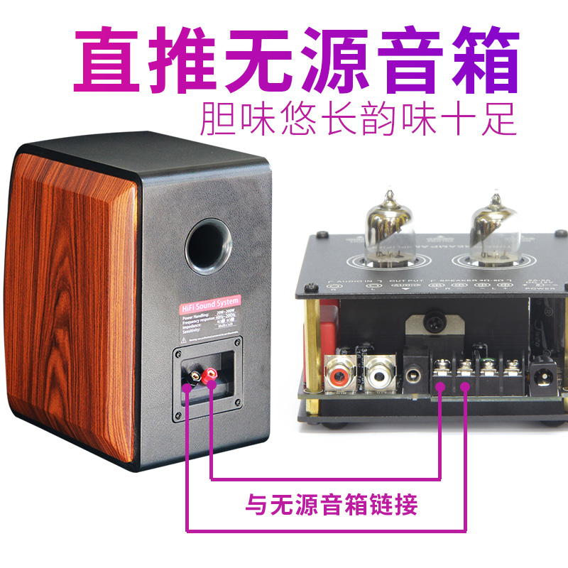 出口丹麦5.0蓝牙小功放胆机发烧hifi桌面卧室电子管胆前级合并