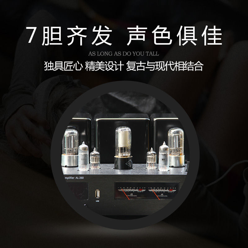 特价丹麦出口原装5.0蓝牙发烧hifi胆机无损U盘电子管功放家用音响 - 图0