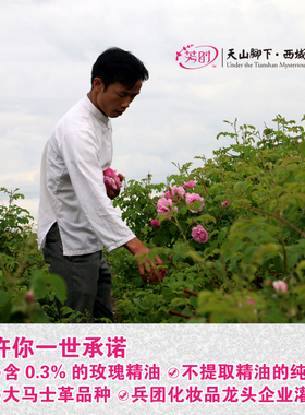 新疆纯露花苞水液补水喷雾花苞水